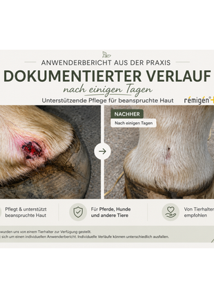 rémigén+ AnimalCare 20+ – Intensive Hautpflege-Suspension für Tiere | 30 ml