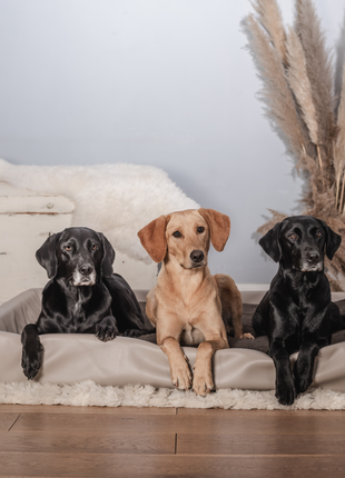 Hundebett KUDDE Kunstleder