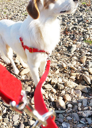 Double leash TECHTELMECHTEL made of BioThane®/Pop - Band