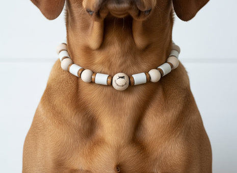 Hundekette EM-Keramik-Wood-Flex