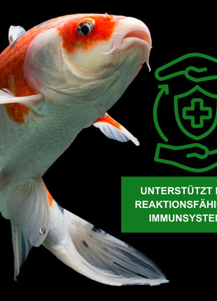 KENKOU® -Selektion- ENERGIE 5 Liter -mit Mehlwürmern, Seidenraupen, Gammarus