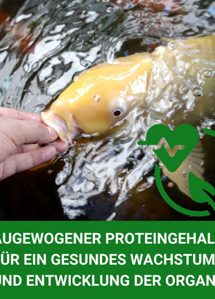 KENKOU® -Selektion- ENERGIE 5 Liter -mit Mehlwürmern, Seidenraupen, Gammarus