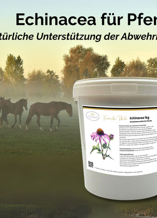Echinacea Pferd 1kg