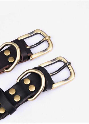 Echtleder Hundehalsband mit Messingschnalle in vier Farben und gratis Gravur Name und Telefon