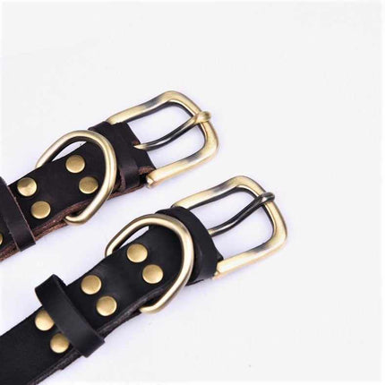 Echtleder Hundehalsband mit Messingschnalle in vier Farben und gratis Gravur Name und Telefon
