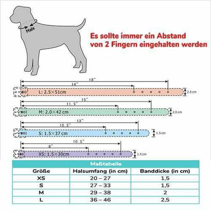 Edles Hundehalsband personalisiert mit Glitzersteinen + Symbol