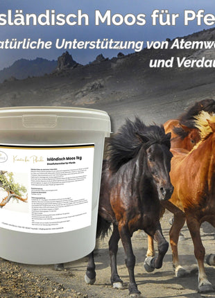 Isländisch Moos Pferd 1kg