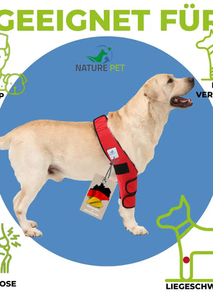 Liegeschwielen Bandage für Hunde