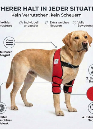 Liegeschwielen Bandage für Hunde