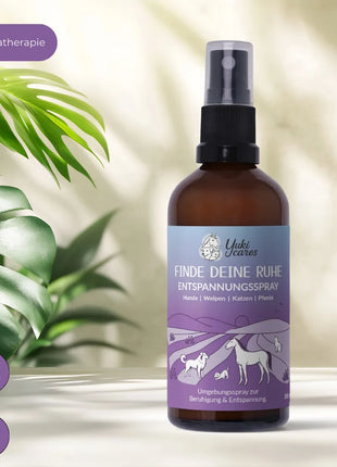 Entspannungsspray Finde deine Ruhe 100ml