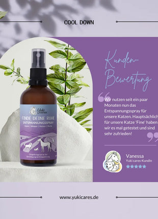 Entspannungsspray Finde deine Ruhe 100ml
