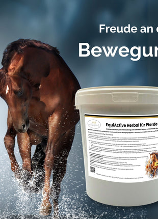 EquiActive Herbal 1kg – Kräutermischung zur Unterstützung von Beweglichkeit & Vitalität beim Pferd