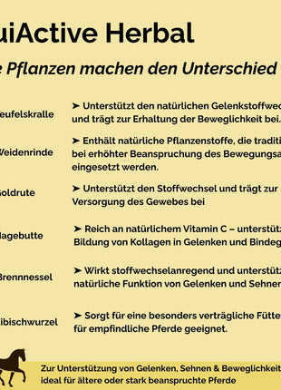 EquiActive Herbal 1kg – Kräutermischung zur Unterstützung von Beweglichkeit & Vitalität beim Pferd