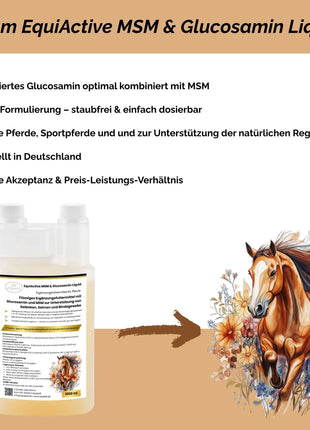 EquiActive MSM & Glucosamin Pferd Liquid 1000ml