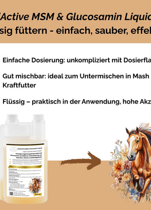 EquiActive MSM & Glucosamin Pferd Liquid 1000ml
