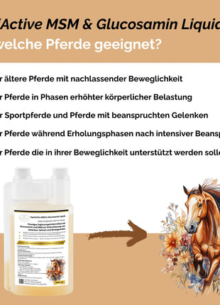 EquiActive MSM & Glucosamin Pferd Liquid 1000ml