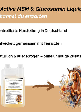 EquiActive MSM & Glucosamin Pferd Liquid 1000ml