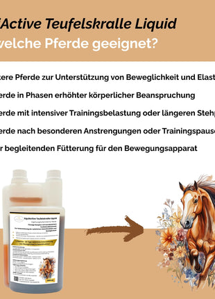 EquiActive Teufelskralle Liquid – Teufelskralle Pferd flüssig 1000 ml