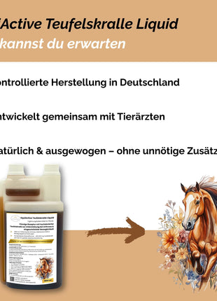 EquiActive Teufelskralle Liquid – Teufelskralle Pferd flüssig 1000 ml