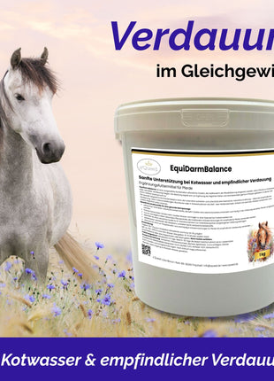 EquiDarmBalance 1kg – natürliches Zusatzfutter für Pferde bei Kotwasser & empfindlicher Verdauung
