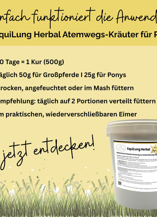 EquiLung Herbal Sensitiv – Kräutermischung für Pferde zur Unterstützung der Atemwege bei hoher Belastung durch Staub, Pollen & Umweltreize