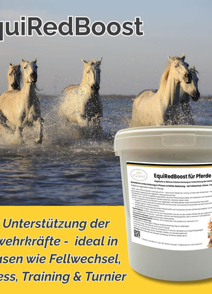 EquiRedBoost 2kg - Hagebutte & Hibiskus zur Unterstützung der Abwehrkräfte