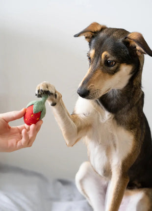 BUDDY. Hundespielzeug aus Wollfilz "Erdbeere"