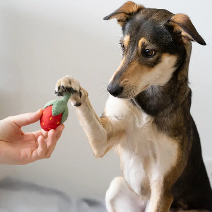 BUDDY. Hundespielzeug aus Wollfilz "Erdbeere"