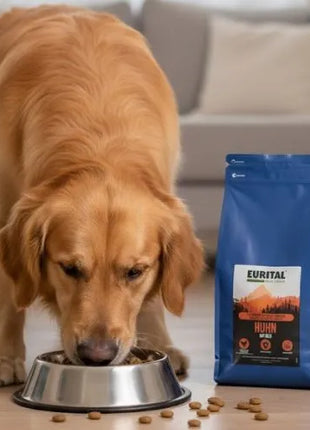Eurital Basic Choice Huhn mit Reis – Premium Trockenfutter für große Hunde