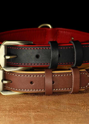 Exklusives Leder Hundehalsband mit Namen und Telefon graviert