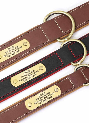 Exklusives Leder Hundehalsband mit Namen und Telefon graviert