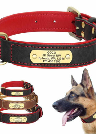 Exklusives Leder Hundehalsband mit Namen und Telefon graviert