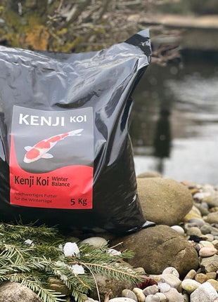 KENJI KOI Winter Balance - sinkend