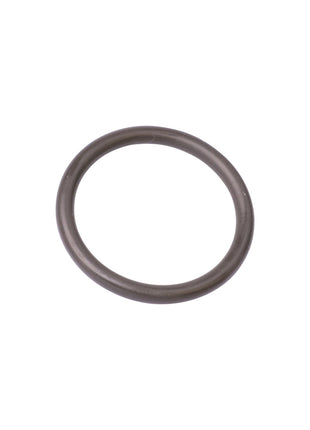 OASE O-Ring Viton 42 x 5 SH50 gefettet – Ersatzteil