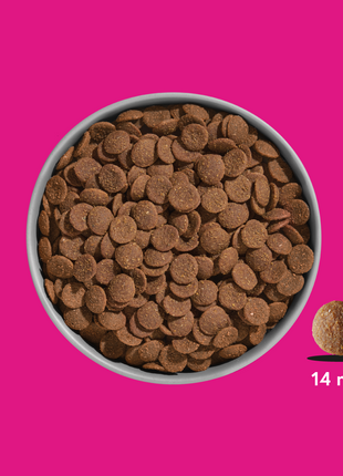 Premium Trockenfutter Schwein (Probe)