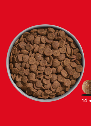 Premium Trockenfutter Rind & Pferd