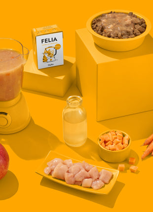 Smoothie Huhn