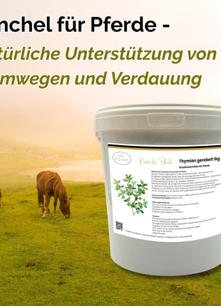 Fenchel Pferd 1kg