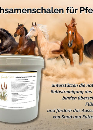 Flohsamenschalen Pferd 1,5 kg - bei Kotwasser und empfindlicher Verdauung