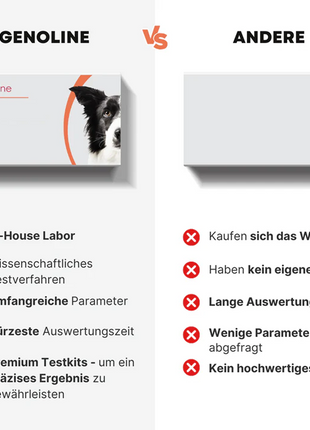 Allergietest für Hunde