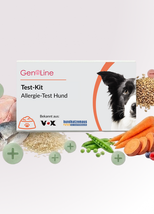 Allergietest für Hunde