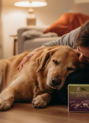 Fur Butter Feel safe and secure 