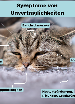 Futtermittel-Zusatzstoff-Test Katze