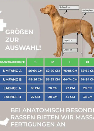 Ganzkörper Tragehilfe für Hunde