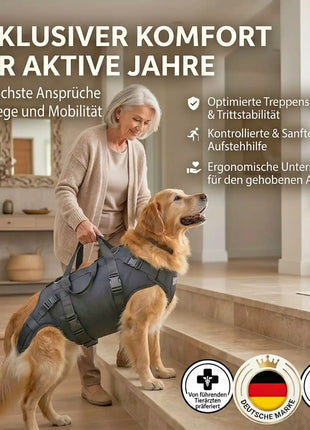 Ganzkörper Tragehilfe für Hunde