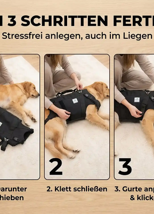 Ganzkörper Tragehilfe für Hunde