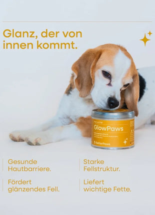 GlowPaws