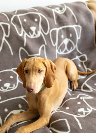 Decke Caruso Dogs