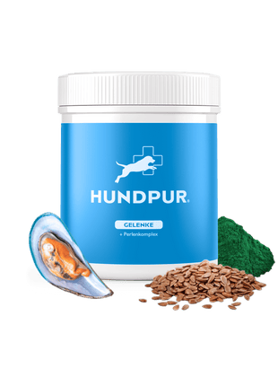 Hundpur® Gelenke mit Grünlippmuschel