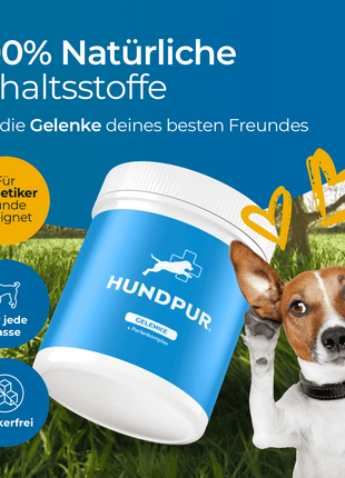 Hundpur® Gelenke mit Grünlippmuschel